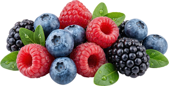 Fruit